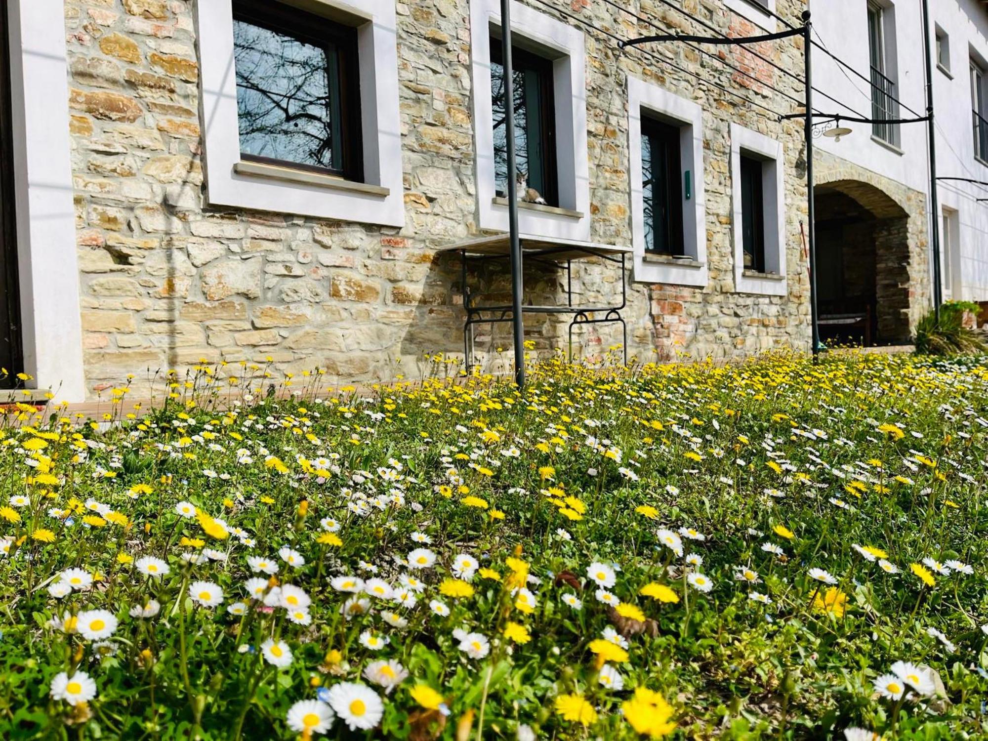 B&B Al Giardino Dei Mandorli Prasco Bagian luar foto