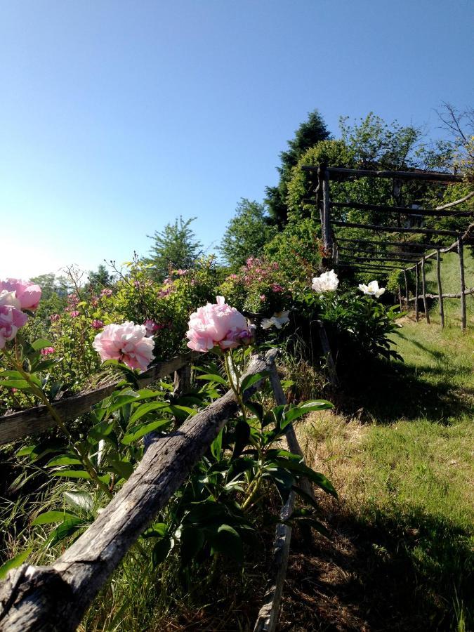 B&B Al Giardino Dei Mandorli Prasco Bagian luar foto